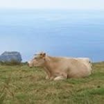 Marc Toro Serrano - Instagram Profile Picture of Marc Toro Serrano (@serrano_marc) on Instagram