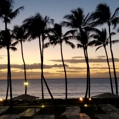 Profile Picture of Scott Gear (@sgear140) on Twitter