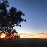 Profile Picture of Joshua Schneiders (@joshua_schneiders_) on Instagram