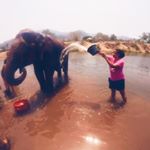 Profile Picture of Veronica A. Pichardo (@veronicaapichardo) on Instagram