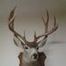 Profile Picture of Pete Moriarty (@pete.moriarty.75) on Facebook