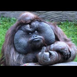 Bethany Marshal - Myspace Profile Picture of Bethany Marshal (@beth_marsh101) on Myspace