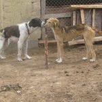 Profile Picture of Jeremiah Cooley (@jere_miahcooley) on Instagram