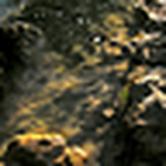 Profile Picture of Sarah James (@mrsareyyy) on Flickr