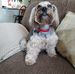 Profile Picture of Lee Schell (@lee.schell.355) on Facebook