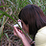 Profile Picture of Lucy Cheng (@Luz Cheng) on Flickr