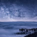 Profile Picture of Elli David (@nightlightcatcher) on Instagram