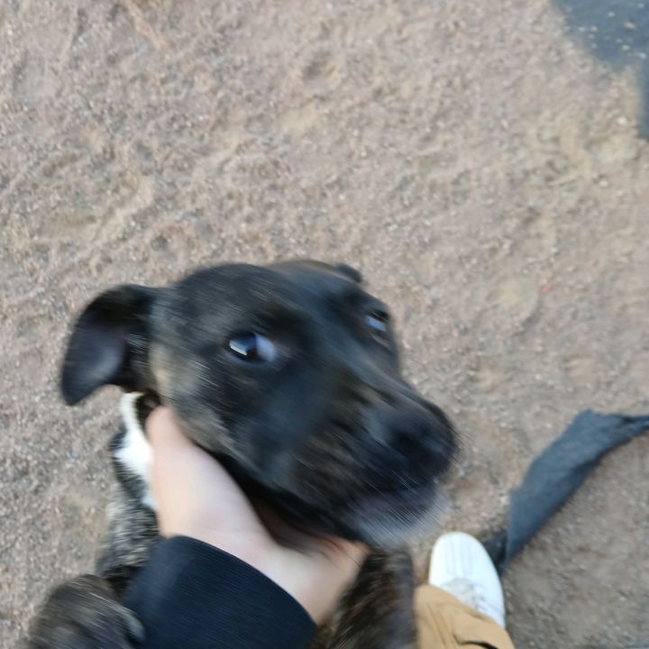 Profile Picture of dominick.R (@iamdominickformmagofin) on Tiktok