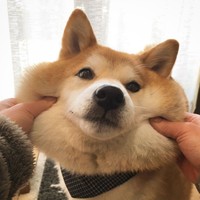 Profile Picture of Lillian Zhang (@lillian-zhang-26) on Quora