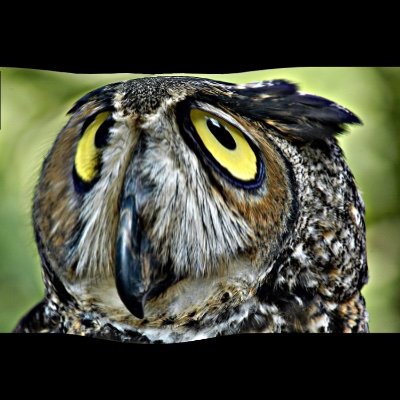 Profile Picture of MemeMaster.2 (@DanielGarin9) on Twitter