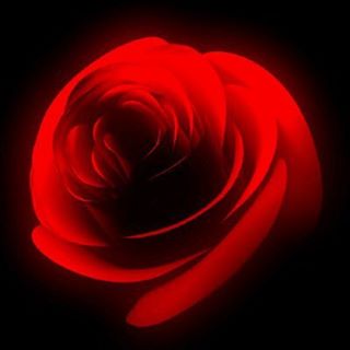 Profile Picture of Roby Nabil (@roby.nabil.1980) on Facebook