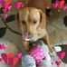 Profile Picture of Cindy Shaw (Behling) (@cindy.shaw.129) on Facebook