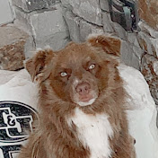 Profile Picture of Jaycee Martin (@jayceemartin2654) on Youtube