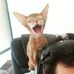 Profile Picture of Uri Ben (@Uri-Ben) on Facebook