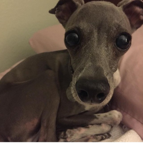 Profile Picture of Jordan Nutley (@jordannutley) on Poshmark