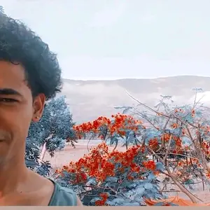 Profile Picture of Luismichael Ogando (@luismichaelogando) on Tiktok