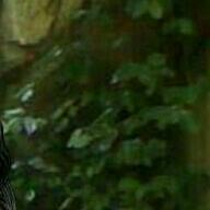 Profile Picture of Michael Mcnutt (@michaelmcnutt66) on Twitter