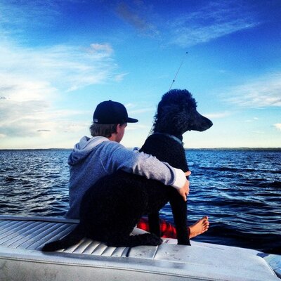 Profile Picture of Kevin Lough (@LoughKevin) on Twitter