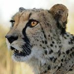 Profile Picture of Jens-Rüdiger Neupert (@jensrudiger) on Instagram