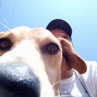 Profile Picture of Bill Spiropoulos (@BillSP9) on Twitter