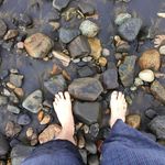 Profile Picture of David Stover (@urbanapiariesrva) on Instagram