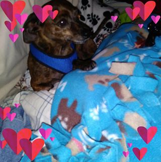 Profile Picture of Alice Stull (@alice.stull.9) on Facebook