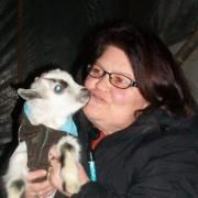 Profile Picture of Debbie Pietsch Engelbrecht (@quinkloey) on Pinterest