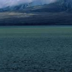 Profile Picture of ShirleyBrantley (@shirleybrantleyk) on Instagram