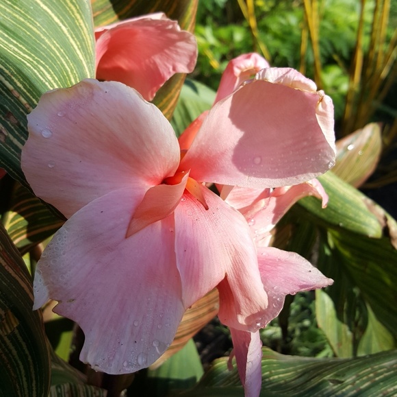 Profile Picture of Chris Fierro (@christothefer) on Poshmark