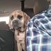 Profile Picture of Roy Moses (@roy.moses.5) on Facebook
