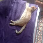 Barbara Markiewicz - Facebook Profile Picture of Barbara Markiewicz (@Barbara-Markiewicz) on Facebook