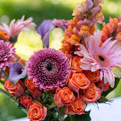 Profile Picture of Sara Duncan (@keystolifemusicschool) on Youtube