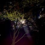 Profile Picture of Jace Gibson (@villain.reborn) on Instagram