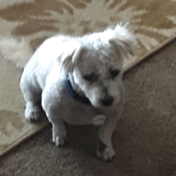 Chris Dufresne - Poshmark Profile Picture of Chris Dufresne (@dufresnechris) on Poshmark