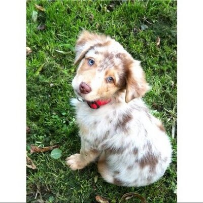 Profile Picture of Caroline Cramer (@cramer_caroline) on Twitter