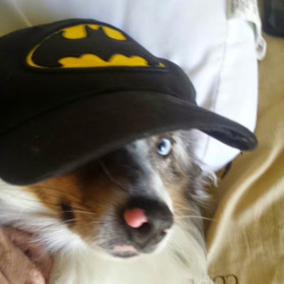 Profile Picture of Barry Cunningham (@barryc119) on Poshmark