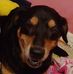 Profile Picture of Stephanie Guice (@stephanie.guice.5682) on Facebook