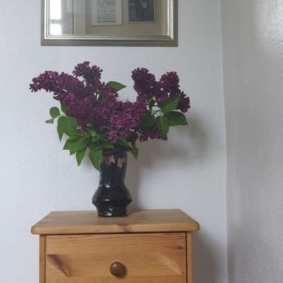 Profile Picture of Birgit Olsen (@BirgitO95510993) on Twitter