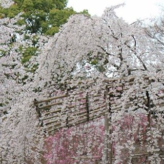 Profile Picture of Amiee Weaver (@amiee.weaver.14) on Facebook