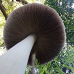 Profile Picture of Tyler Taylor (@tyler.taylor88) on Instagram