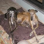 Profile Picture of marc aertssens (@marcaertssens) on Instagram