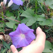 Profile Picture of Isabel Balboa (@isabelbalboa1060) on Youtube