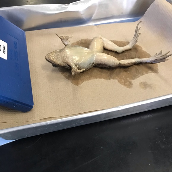 Profile Picture of Catherine Moore (@catherinem00) on Poshmark