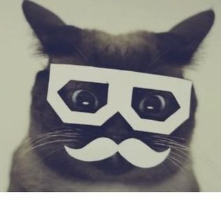 Profile Picture of Andras Csonka (@andras.csonka.35) on Facebook