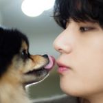 Profile Picture of Taehyung Kim (@truelovetae) on Instagram