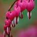 Profile Picture of Amy-Anne Kibler (@aakib) on Pinterest