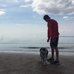 Profile Picture of rossforrest (@rossforrest) on Instagram