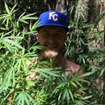 Profile Picture of Brad McElwain (@discwhisperer) on Instagram