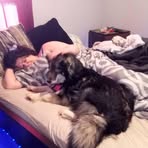 Profile Picture of Derek Moore (@Derek-Moore) on Facebook