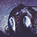 Profile Picture of Amanda Jackson (@puddle dust) on Flickr